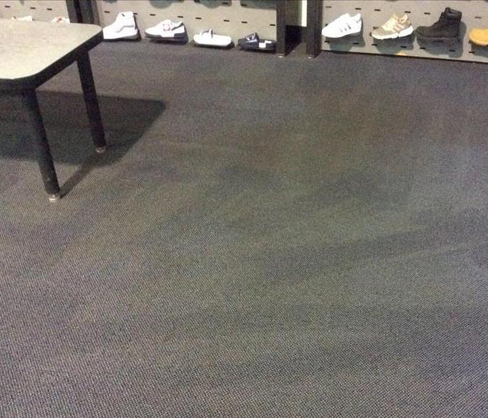 shoe store with a clean stain free carpet and a wall of shoes in the background